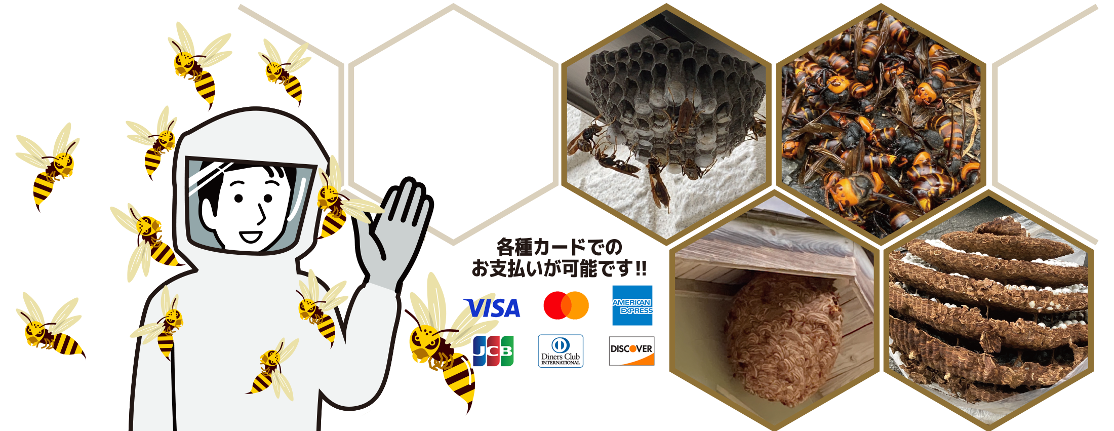 ハチの巣駆除